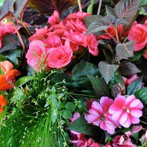 Meet your Posher, Leslie